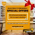 Black Friday & Cyber Monday deals at Antiques.co.uk