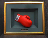 Boxing Glove