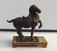 Chinese Horse