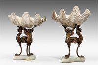 Natural Conch Shells