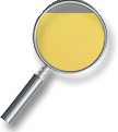 SEARCH!
