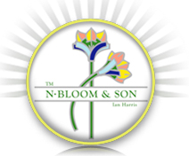 N. Bloom & Son