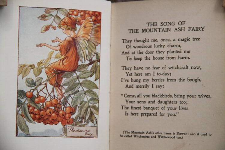 There's something both lovely and traditional about giving your children a book for Christmas