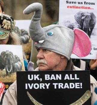 Passions run high as UK's controversial Ivory Act challenged in court