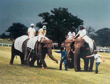 Polo Auction of rare and unique items never been seen before 