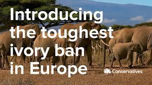 The Ivory Act is due to come into force in Spring 2022.