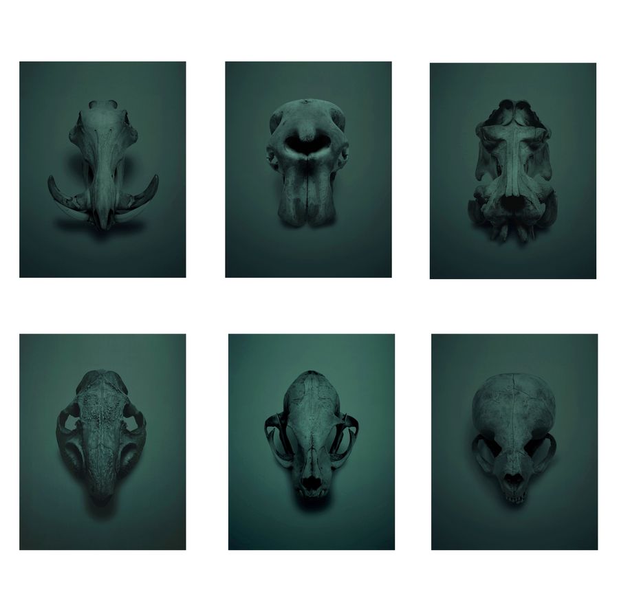 ANTIQUE PHOTOGRAPHIC EQUIPMENT AND PHOTOS