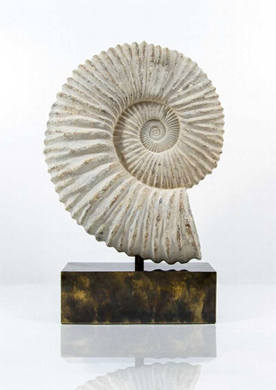 Fossil